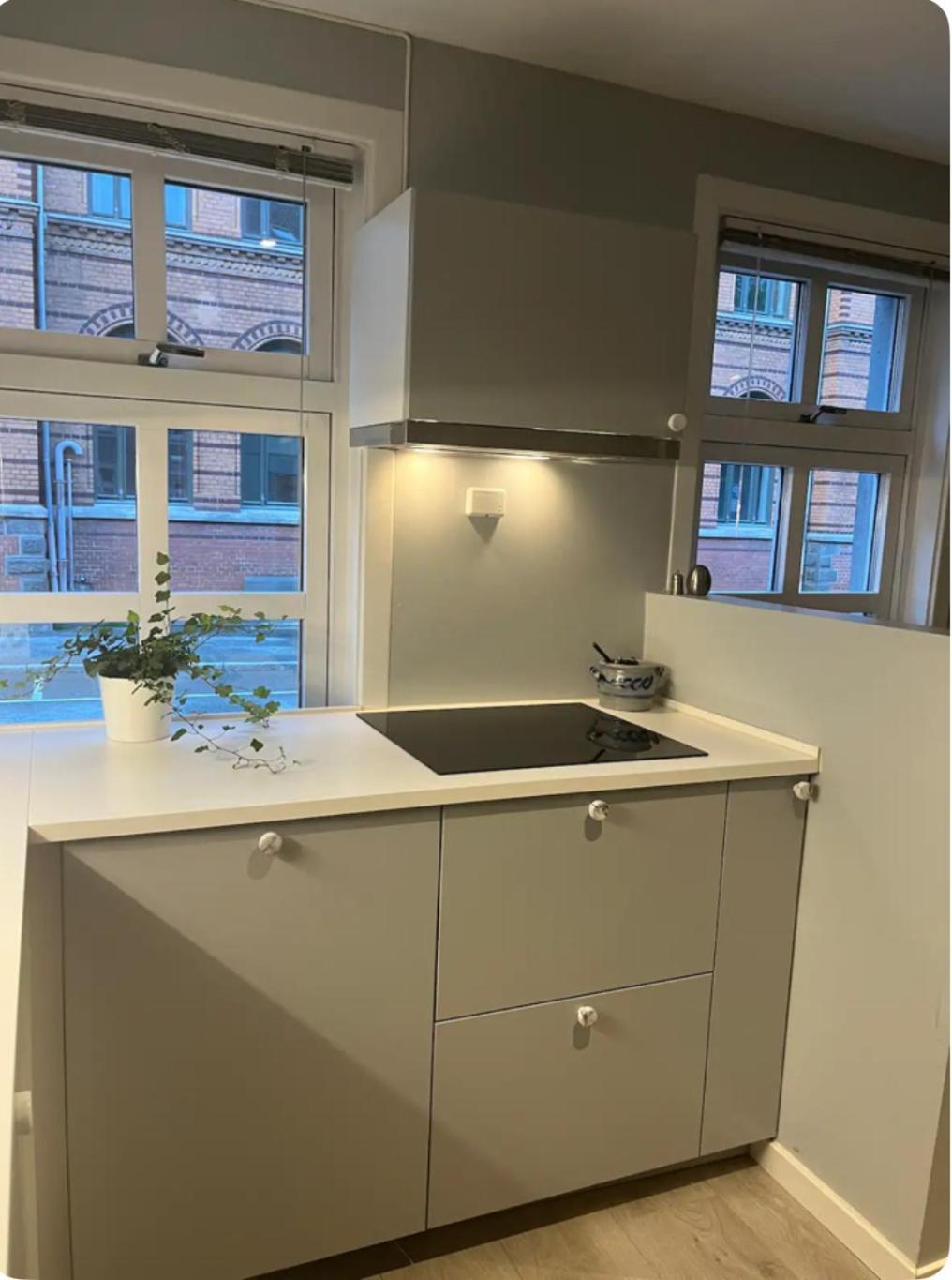 Unik Og Koselig Leilighet Midt I Sentrum Av Trondheim Dış mekan fotoğraf